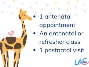 louise brennan, private midwife, midwife care package, st albans, london, hertfordshire, antenatal, postnatal, midwife care at home, antenatal class